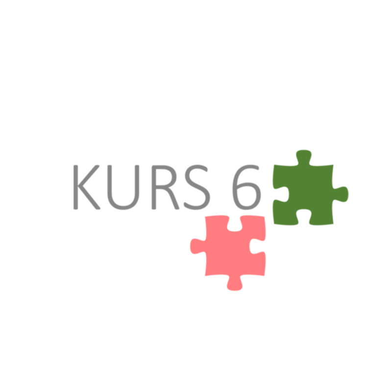 Web-Seminar Kurs 6